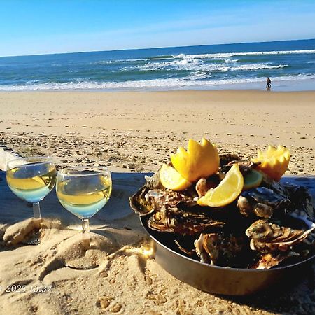Les Bord'Oceanes Sauna & Spa Villa Marensine Et Villa Oyat Vielle-Saint-Girons Luaran gambar