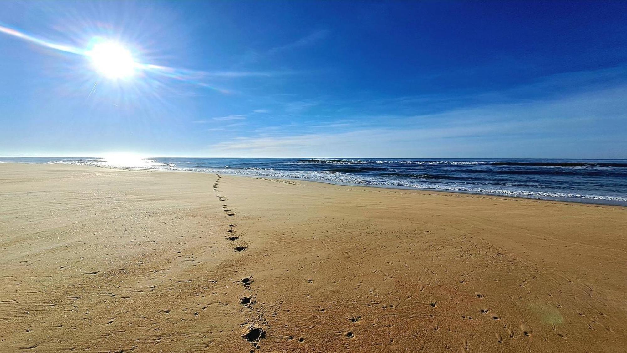 Les Bord'Oceanes Sauna & Spa Villa Marensine Et Villa Oyat Vielle-Saint-Girons Luaran gambar